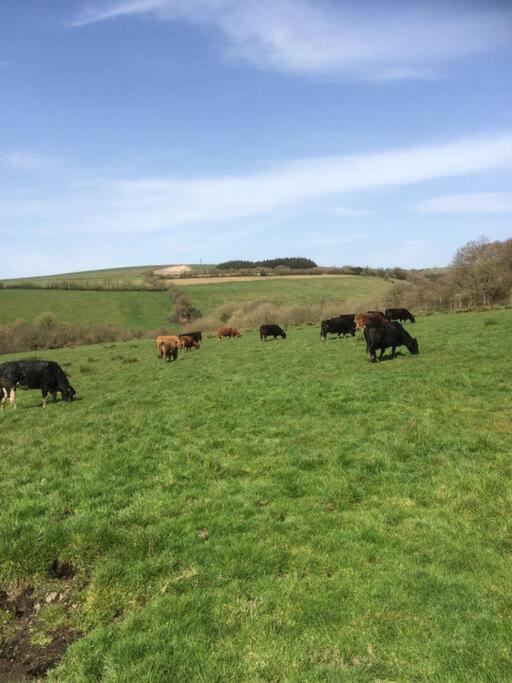 Farmer Bob'S Farmhouse Barnstaple Exteriér fotografie
